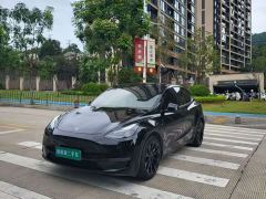 Tesla Model Y Rear-Wheel Drive - ფოტო 1