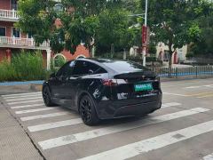 Tesla Model Y Rear-Wheel Drive - ფოტო 2