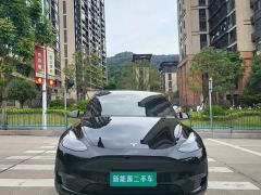Tesla Model Y Rear-Wheel Drive - ფოტო 4