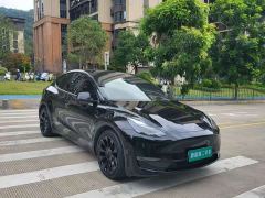 Tesla Model Y Rear-Wheel Drive - ფოტო 5