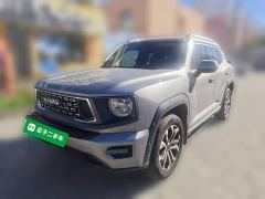 Haval Big Dog PLUS 2.0T Two-Wheel Drive Trendy Wilderness Edition Plus - ფოტო 1