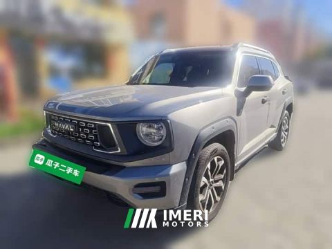 2024 Haval Big Dog PLUS 2.0T Two-Wheel Drive Trendy Wilderness Edition Plus - ავტომობილი ჩინეთიდან