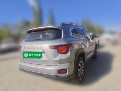Haval Big Dog PLUS 2.0T Two-Wheel Drive Trendy Wilderness Edition Plus - ფოტო 4