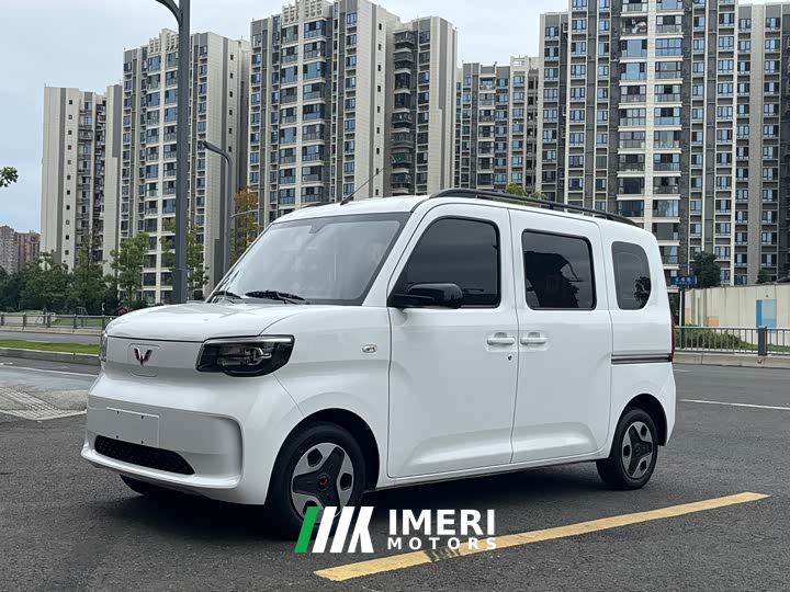 Wuling Zhiguang New Energy 305km Aspiring Edition - ავტომობილი ჩინეთიდან