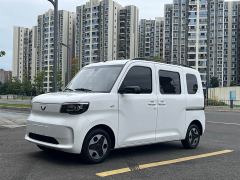 Wuling Zhiguang New Energy 305km Aspiring Edition - ფოტო 1