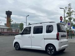 Wuling Zhiguang New Energy 305km Aspiring Edition - ფოტო 12