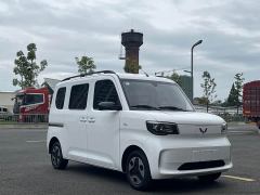 Wuling Zhiguang New Energy 305km Aspiring Edition - ფოტო 3