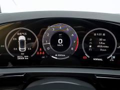 Porsche Cayenne Coupé 3.0T - ფოტო 13