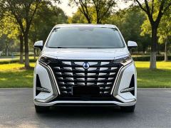Denza D9 DM-i 970 AWD Flagship - photo 2