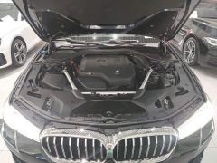BMW 5 Series 530Li Premier M Sport Package - ფოტო 19