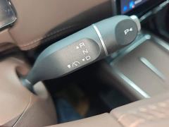 Wuling Starlight 730 New Energy PHEV 125km Luxury - ფოტო 13