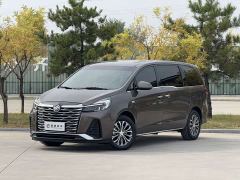 Buick GL8 Land Executive Cabin 652T Luxury - ფოტო 1