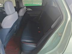 Geely Geometry E Firefly 401KM Linglong Tiger 4-Seater - photo 16