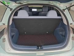Geely Geometry E Firefly 401KM Linglong Tiger 4-Seater - photo 18