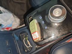 Geely Geometry E Firefly 401KM Linglong Tiger 4-Seater - photo 8
