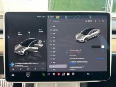 Tesla Model 3 Performance All-Wheel Drive - ფოტო 13