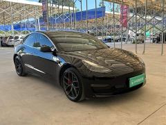 Tesla Model 3 Performance All-Wheel Drive - ფოტო 14