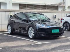 Tesla Model Y Performance All-Wheel Drive - ფოტო 12