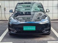 Tesla Model Y Performance All-Wheel Drive - ფოტო 2