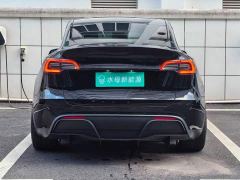 Tesla Model Y Performance All-Wheel Drive - ფოტო 7