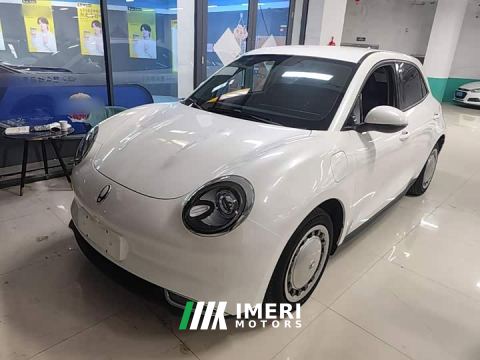 2021 ORA Good Cat 400km Standard Range Muse Edition LFP Battery - автомобиль из Китая