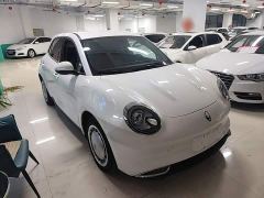 ORA Good Cat 400km Standard Range Muse Edition LFP Battery - photo 3
