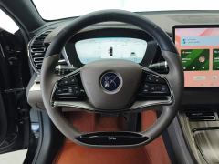 BYD Han DM-i Champion Edition 121KM Luxury - photo 15
