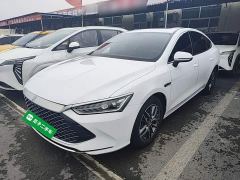 BYD Qin Plus DM-i 55KM Flagship - photo 1