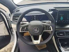 BYD Qin Plus DM-i 55KM Flagship - photo 10