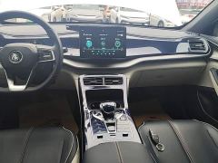 BYD Qin Plus DM-i 55KM Flagship - photo 12