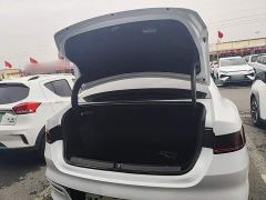 BYD Qin Plus DM-i 55KM Flagship - photo 18