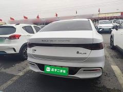 BYD Qin Plus DM-i 55KM Flagship - photo 5