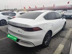 BYD Qin Plus DM-i 55KM Flagship - photo 6