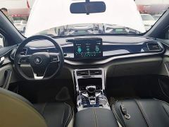 BYD Qin Plus DM-i 55KM Flagship - photo 9