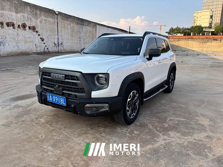 Havaldog 2022 2.0T DCT four-wheel drive Chinese pastoral dog hunting version