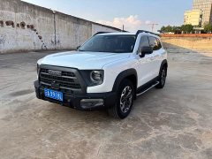 Havaldog 2022 2.0T DCT four-wheel drive Chinese pastoral dog hunting version - ფოტო 1