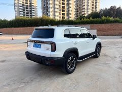 Havaldog 2022 2.0T DCT four-wheel drive Chinese pastoral dog hunting version - ფოტო 5