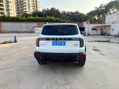 Havaldog 2022 2.0T DCT four-wheel drive Chinese pastoral dog hunting version - ფოტო 6