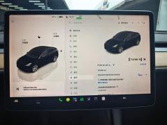 Tesla Model Y Rear-Wheel Drive - ფოტო 10