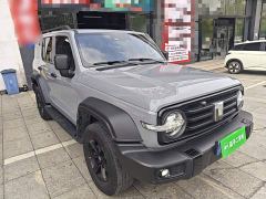 Tank 300 Off-Road Edition 2.0T Conqueror - photo 3