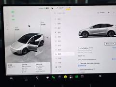 Tesla Model Y L Long Range All-Wheel Drive - ფოტო 3