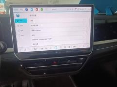 Volkswagen Passat Pro 380TSI Starry Sky Dragon Premium Edition - фото 17
