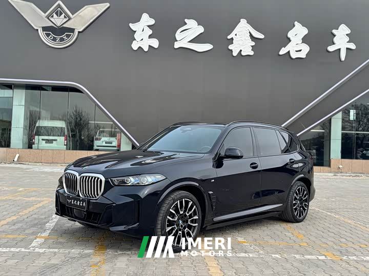 BMW X5 xDrive 40Li M Sport Midnight Edition - car from China