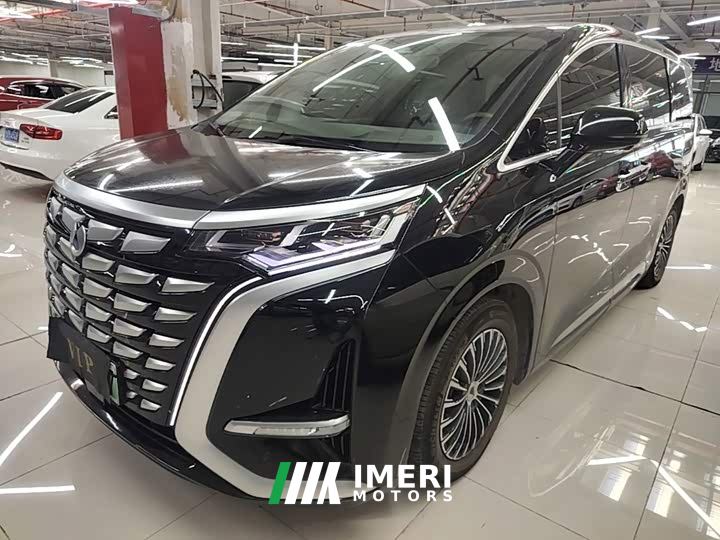 Denza D9 DM-i 970 AWD Flagship - car from China