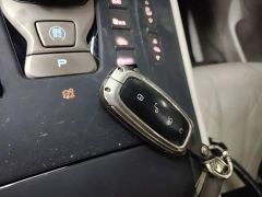Denza D9 DM-i 970 AWD Flagship - photo 8