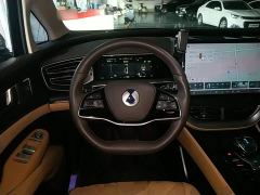 Denza D9 DM-i 980 Four-Wheel Drive Premium - фото 10