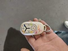 Geely Star Wish 310km Dream Edition - ფოტო 8