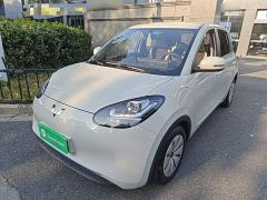 Wuling Binguo 333km Quick Enjoy Edition - ფოტო 1