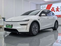 Tesla Model Y L Long Range All-Wheel Drive - ფოტო 1