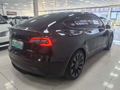 Tesla Model Y Performance All-Wheel Drive - фото 4